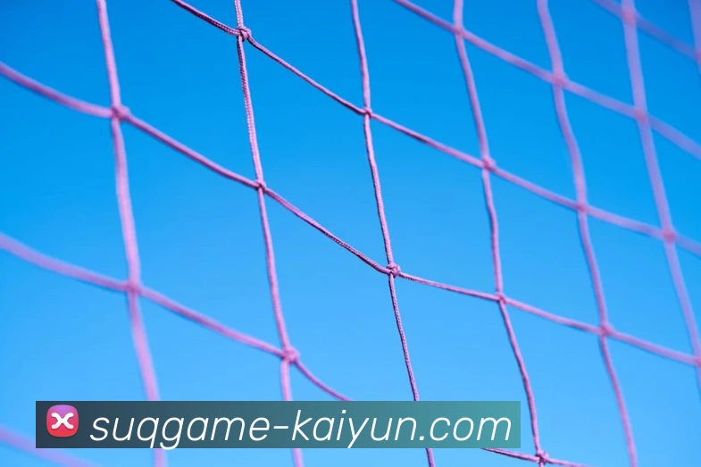 APP界面展示